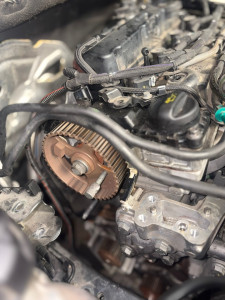 Photo de galerie - Distribution 