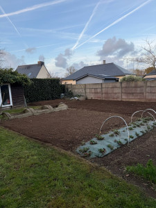 Photo de galerie - Résultat final de création d’un potager 