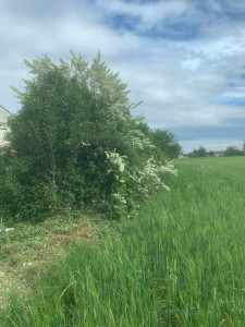 Photo de galerie - Jardinier