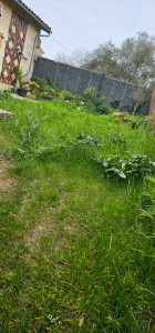 Photo de galerie - Tonte de pelouse - Débroussaillage