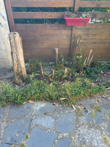 Photo de galerie - Paysagiste - Aménagement du jardin