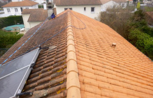 Photo de galerie - Nettoyage de toiture 