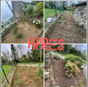 Photo de galerie - Par terre de fleurs