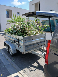 Photo de galerie - évacuation des déchets verts en déchetterie.