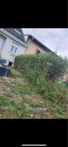 Photo de galerie - Elagage et coupe d'arbres