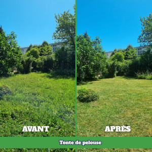 Photo de galerie - Tonte de pelouse - Débroussaillage