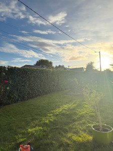 Photo de galerie - Rabattage de haie 