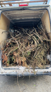 Photo de galerie - Déchets vert