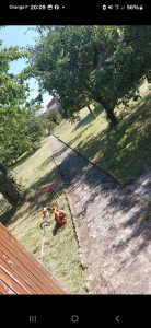 Photo de galerie - Tonte de pelouse 