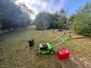 Photo de galerie - Entretien jardin annuel