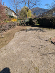 Photo de galerie - Entretien de gazon avec scarification sablage amendement printemps, et mise en place prairie fleurie annuelle 