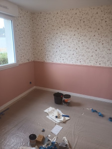 Photo de galerie - Tout travaux de rénovation peinture et sol déposé et posé 