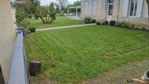 Photo de galerie - Aménagement et tonte régulière d'un jardin voisin 