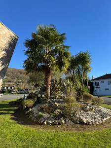 Photo de galerie - Taille de Massif 