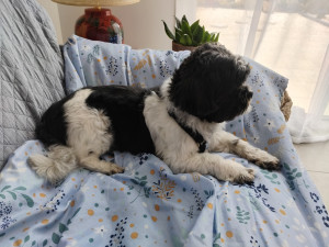 Photo de galerie - Un adorable pepere