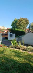 Photo de galerie - Taille de haies et d'arbustes