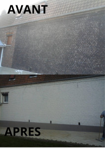 Photo de galerie - Remise en peinture d'une façade en brique 
Avant / Après 
