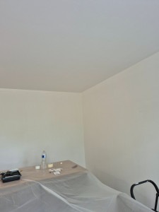 Photo de galerie - Plâtrage et peinture des murs et des plafonds 