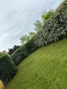 Photo de galerie - Chantier fait sur saint Gaudens 