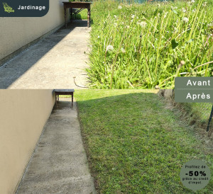 Photo de galerie - Tonte de pelouse - Débroussaillage