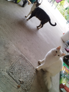 Photo de galerie - Visite à domicile de noa et sa soeur