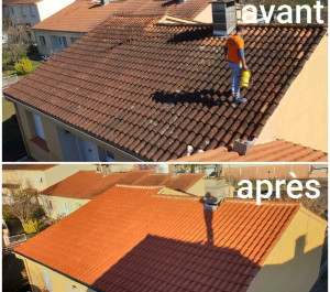 Photo de galerie - Nettoyage toiture 
