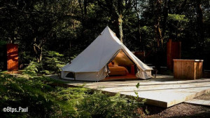 Photo de galerie - Paysagiste - Aménagement du jardin