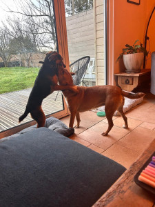 Photo de galerie - Petit 14 d'heure de folie