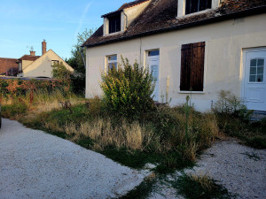 Photo de galerie - Tonte de pelouse - Débroussaillage