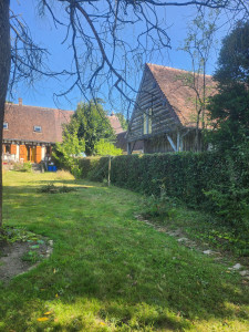 Photo de galerie - Taille de haies et d'arbustes