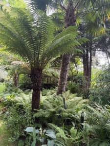 Photo de galerie - Paysagiste - Aménagement du jardin