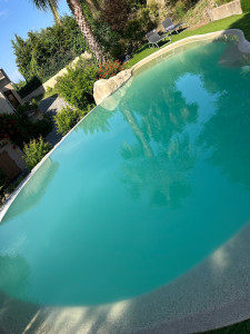 Photo de galerie - Entretien piscine
