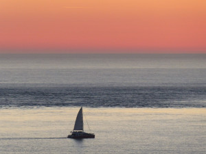 Photo de galerie - Photographe