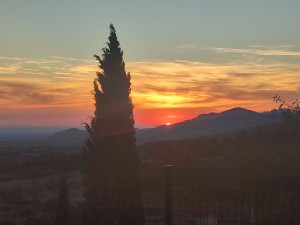 Photo de galerie - Aide à domicile