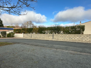 Photo de galerie - Taille d’une haie de troène 