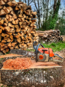 Photo de galerie - Disponible pour toutes vos demande d’abattage d’arbre 