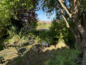 Photo de galerie - Avant la taille