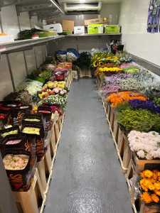 Photo de galerie - Une partie de mon métier 