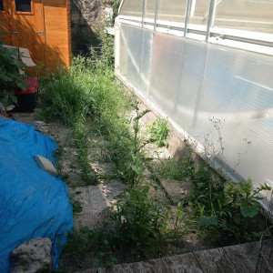 Photo de galerie - Jardinier