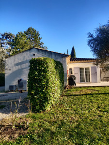 Photo de galerie - Taille de haie 