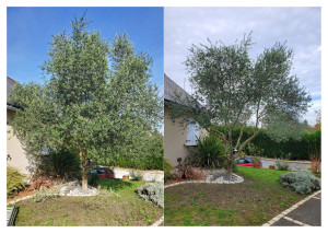 Photo de galerie - Paysagiste - Aménagement du jardin