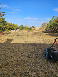 Photo de galerie - Debroussaillage 
tonte
taille de haie arbres arbustes tout hauteur 
