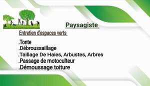 Photo de galerie - Tonte de pelouse - Débroussaillage