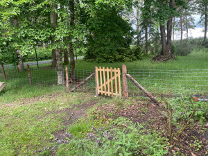 Photo de galerie - Pose clôture à mouton avec piquets châtaignier et fabrication et pose de portillon bois 