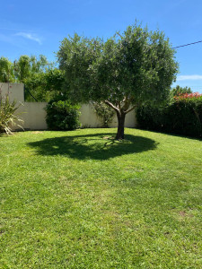 Photo de galerie - Tonte de pelouse - Débroussaillage