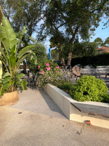 Photo de galerie - Création massif 