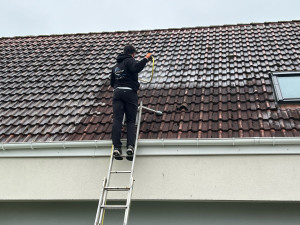 Photo de galerie - Traitement anti mousse hydrofuge