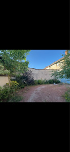 Photo de galerie - Peinture - Tapisserie