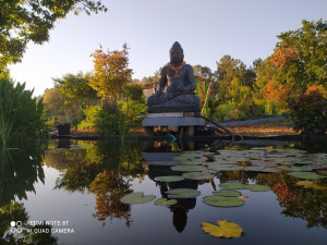 Photo de galerie - Paysagiste - Aménagement du jardin