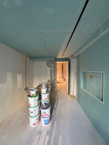 Photo de galerie - Plague 
Enduit
Pentiure